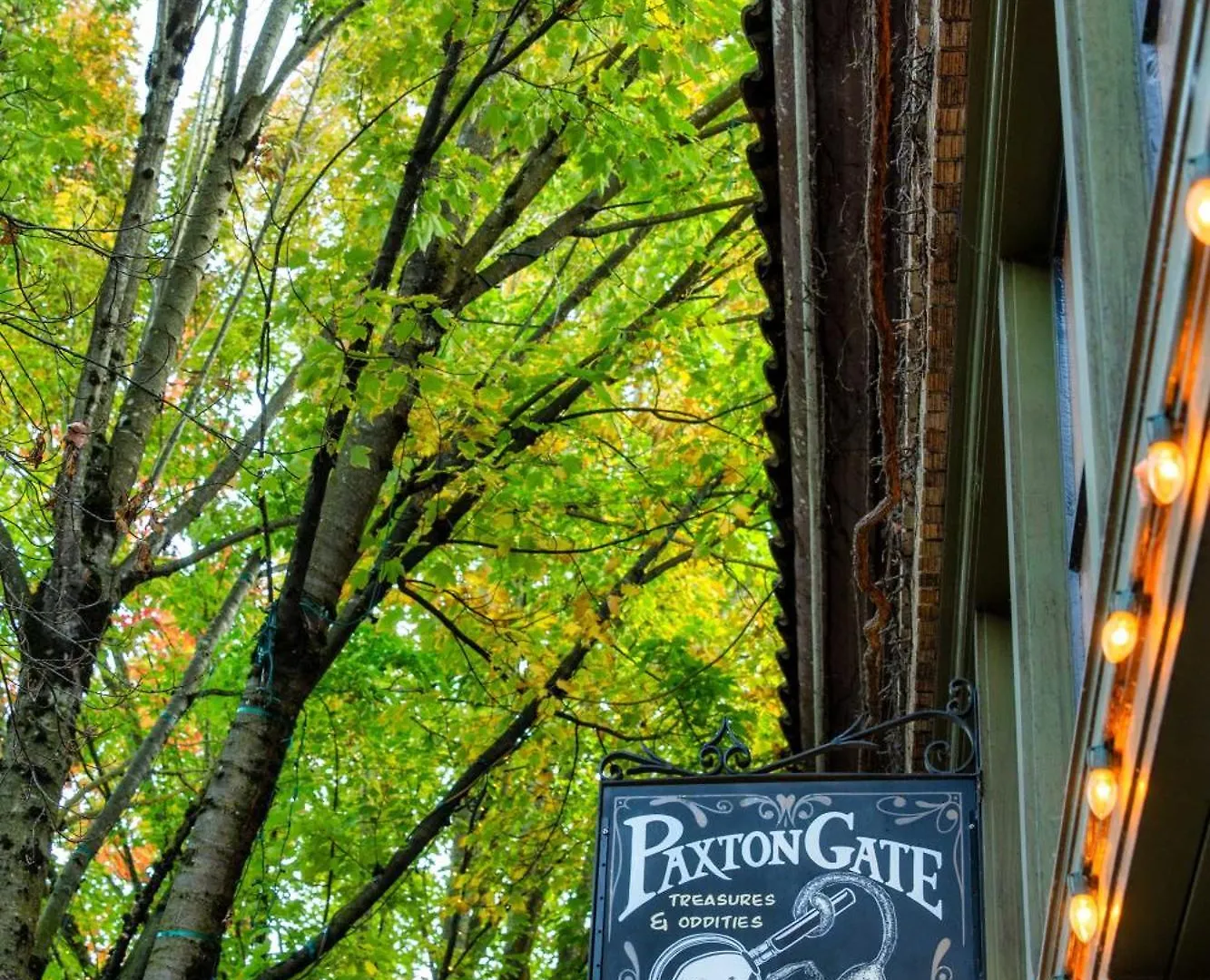 Stay Portland - The Calin Suite - Posh Local Boutiques & Eateries Διαμέρισμα